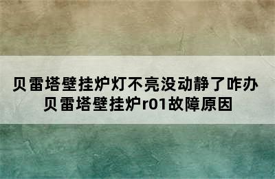 贝雷塔壁挂炉灯不亮没动静了咋办 贝雷塔壁挂炉r01故障原因